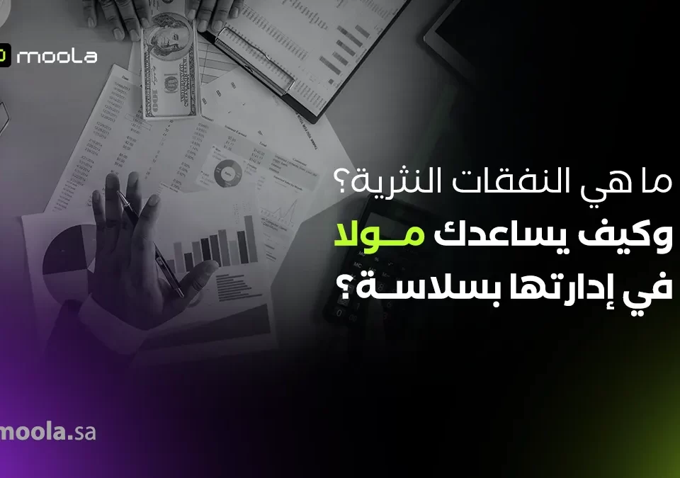 النفقات النثرية