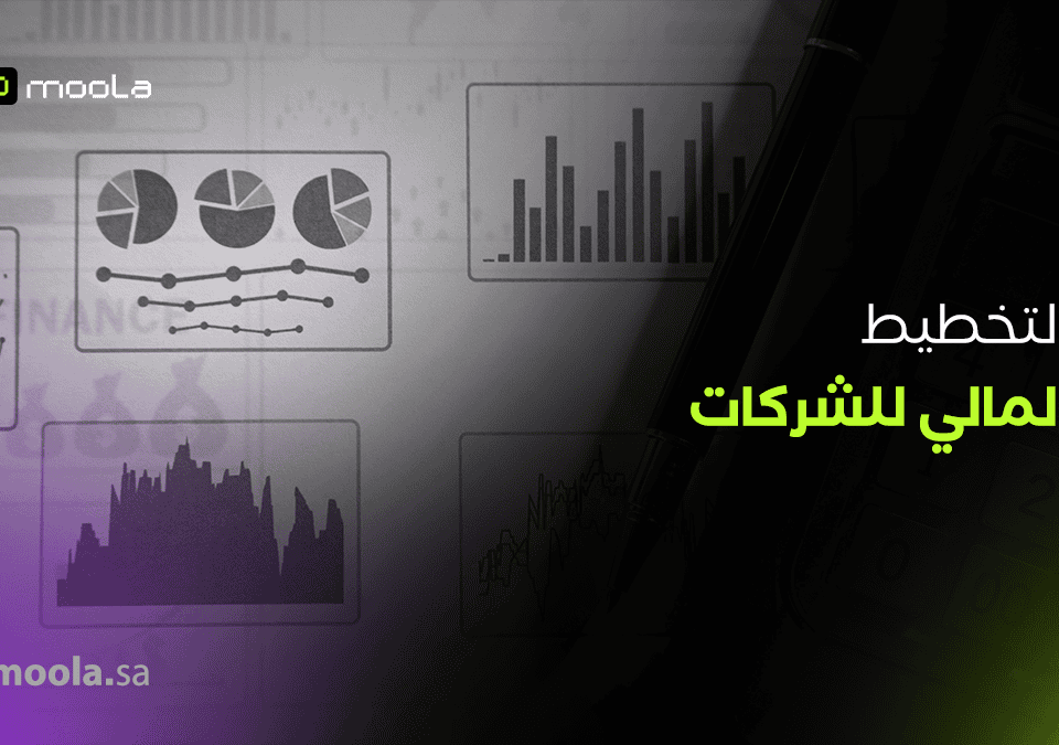 التخطيط المالي للشركات