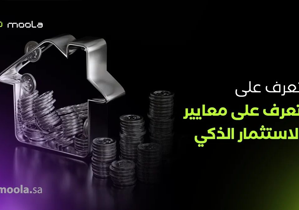 معايير الاستثمار
